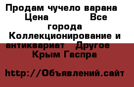 Продам чучело варана. › Цена ­ 15 000 - Все города Коллекционирование и антиквариат » Другое   . Крым,Гаспра